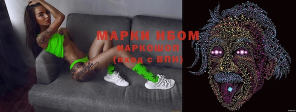 крисы Балахна
