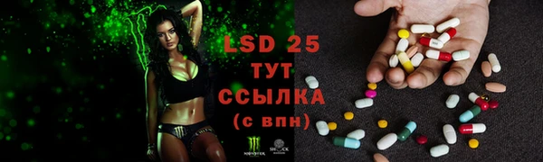 PSILOCYBIN Бугульма