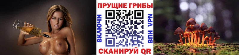 Псилоцибиновые грибы мухоморы наркошоп Высоцк